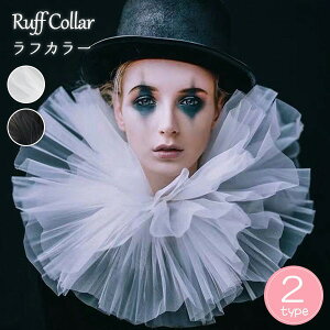 t tJ[ [bp M   Ђ btJ[ sGJ[ t  jp Y fB[X jp p RX`[ RXv   