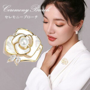 u[` lHp[ t S[WX  ւ΂ RT[W zCg u[`s  Ǝ  w   CXg[ ANZT[ tH[} Zj