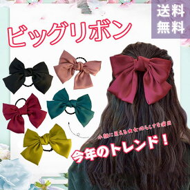 【2点以上購入で160円OFFクーポン】送料無料 ビッグ リボン ヘアアクセ ヘアゴム 大きい リボン 髪飾り サテン ロリータ ロリィタ 卒業式 成人式 ヘア飾り リボン型 髪ゴム 髪留め 無地 JK 学生 子供 キッズ 女の子 コスプレ 大きめ ドレス用 発表会 衣装 ダンス ja158x1x1x1