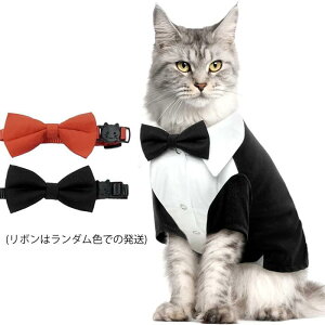 ybg  L  RXv tH[} X[c ^LV[h  Be p[eB[    RX`[ m ^ ^ Lp  ϐgߑ ߑ hXAbv   O