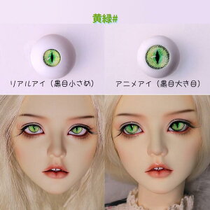  h[AC L AjAC ANAC ̊֐ߐl` BJD SD DD AC 16mm u[ ^[RCYO[  IW bh 5F ঒ޕ  c KXAC JX^h