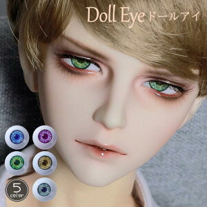  h[AC AjAC AAC ANAC ̊֐ߐl` BJD SD DD AC 14mm 16mm 18mm 1/3 1/4 1/6 u[ O[ uE p[v O[ 5F Iׂ  p[c JX^h[p 