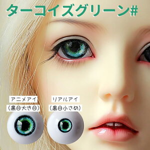  h[AC ߃ANAC ̊֐ߐl` BJD SD DD AC 6F 14mm 16mm 18mm 1/3 1/4 1/6 u[ O[ bh p[v ubN Aj tBMA JX^ h[p p  p[