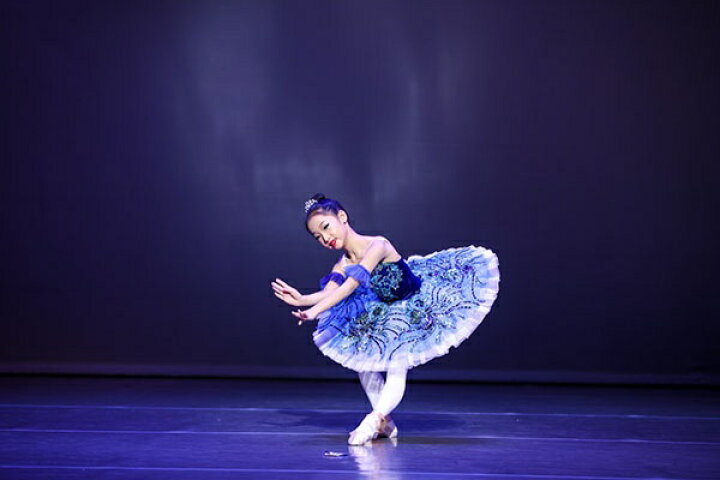 楽天市場】子供バレエ ダンス衣装 チュチュ 演出バレエ 子供バレエ 