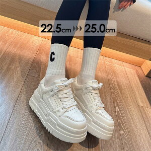 ����X�j�[�J�[ ���f�B�[�X �C���q�[�� �y�� �����₷�� ���r���� �X�^�C���A�b�v �� 22.5�`25.0cm �ʋ΁E�ʊw�p �t�ďH�Ή� np029z7z7m3