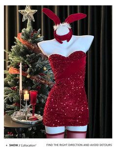 T^ RXv fB[X s[X  Xmas LL NX}X ~  Cxg ߑ T^ T^N[X  T^RX G  RX`[ p[eB mm005zbzbm3