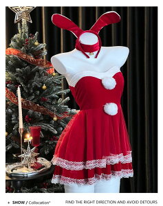 T^ RXv fB[X s[X  Xmas NX}X ~  Cxg ߑ T^ T^N[X  T^RX G  RX`[ p[eB mm006zbzbm3