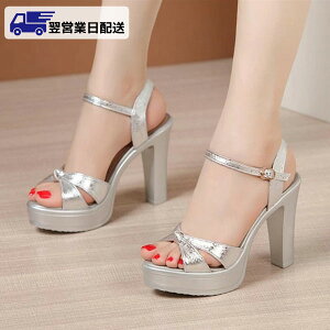 ycƓz26.5cm T_ fB[X  q[ xg 傫TCY T_ nCq[ Xg[ q[10cm C  l Vo[ di100x2m3kc /ԕiEEs