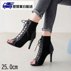 ycƓz25.0cm ubN T}[u[c T_ I[vgD u[cT_ sq[ ҂ݏグ fB[X y V[gu[c V[Y u[c OfBG[^[ XG[h 