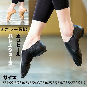 oGV[Y gDV[Y 2J[ q[ Xvbg\[ _X tbgV[Y l fB[X GNg[ ubN x[W sAm t V[Yy22.0-27.5cmzdi036l6l6l6