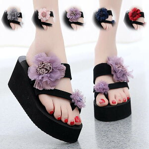 T_ ƃt[  T_ r[` TCY  r[T r[`T_ EFbW\[  fB[X r  ][g JWA l y  r[T i