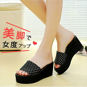  T_ ~[ ƃt[ EFbW\[ XChT_ r[` ubN [Y  qE Ip[h I[vgD JWA 傫TCY TCY y 