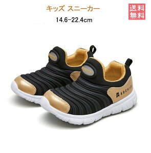 Xj[J[ LbY qC j̎q ̎q WjA Xb| LbYV[Y qp^C ~fBAAbV LJ-LjIXg LbYXj[J[ q ct ۈ牀 