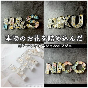 Ԃ̂CjVIuWF W At@xbgIuWF oYj JXj  EFJXy[X uU[uht[ vU[uht[ n[oE