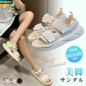  T_ fB[X  3cm X|[cT_ T_ ~ r  ₷ Xj[J[T_ 傫TCY RtH[g V[Y y C JWA V