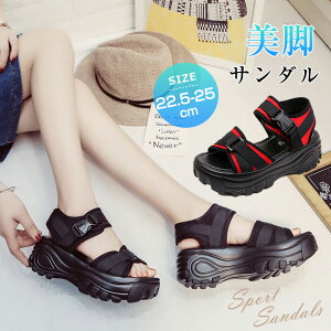  T_ fB[X  X|[cT_ 6cm T_ ~ r  ₷ Xj[J[T_ 傫TCY RtH[g V[Y y C JWA V