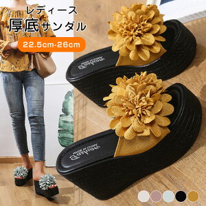   t[ T_ y T_ ₷ fB[X r ~[ V[Y T_ C EFbW\[ r[`T_ C fB[X ~ r[` 