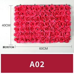  25F t[EH[ 40*60cm    ԕ Ǌ| CX^f JXj CeAO[ EH[pl tFCN EH[A[g EH[fR y tȒP 