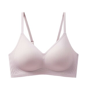  2set i mC[u u uW[ iCguW[ M~2XL bNXu ߕtȂ zbNȂ e Ȃ 24Hg pu oXgAbv oXg