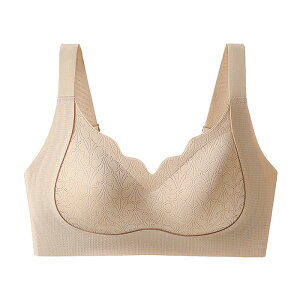  2set i mC[u u uW[ iCguW[ M~3XL bNXu ߕtȂ e Ȃ 24Hg pu oXgAbv u 