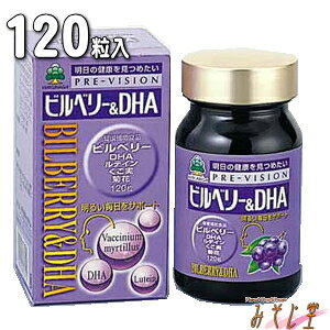 湧永製薬 プレビジョン ビルベリー&DHA 61g(512mg×120粒) ビルベリーエキス加工食品 ビルベリー ルテイン DHA 枸杞子・菊花 【smtb-k】【w2】