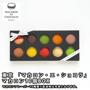 【ハプティックhbA】東京 「マカロン・エ・ショコラ」 マカロン10個BOX/マカロンフレーバー10種類　※配送時は冷凍となります。 お取り寄せグルメ お歳暮 御歳暮