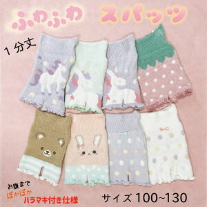 yӂӂzq@Xpbc@ꕪ@@~@h@c@w@̎q@100`130@ۂۂ