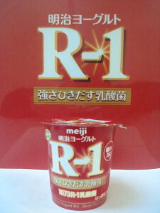 R-1[Og@112g@48@iȂƁIIIj