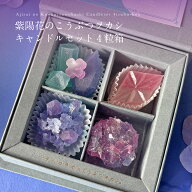 ハラペコラボ 紫陽花のこうぶつヲカシ4粒箱1箱福岡県産 琥珀糖 お菓子 和菓子 宝石 ギフト プレゼント 父…