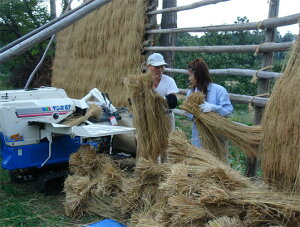 yzVėߘa7NYVnYRVqJyāz25kgӂƐオAASAOqnYRVqJĂ̂tkCEB