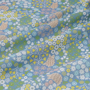 n V[`O ͂˂݂̏a n145cm 50cmP ؂蔄  Rbg 100 I[_[Jbg ؔ  i`  킢 pXeJ[ \[CO ٖD z NX  H