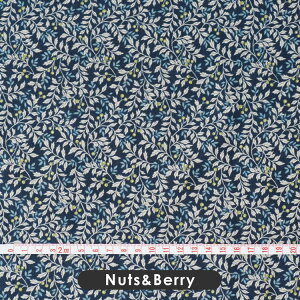 Jbgς݃NX XPAJXc 108/110cmi1mJbgj Rbg n XPA  {  R A {^jJ Jbgn 킢   z ̎q j̎q  ct 