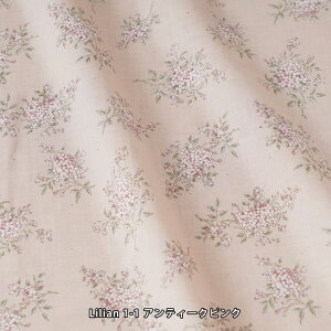 Jbgς݃NX XPAJXc 108/110cmi1mJbgj Rbg n XPA  {  R A {^jJ Jbgn 킢   z ̎q j̎q  ct 