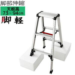 �������t�L�k �r�����J��H�� �r�y RZS-09a �A���~������s��