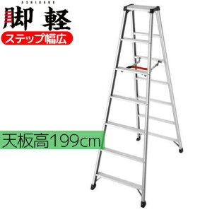 �r�� �A���~ �y�ʈ��S ���L RZ-21c���J��H�� �r�y������s��