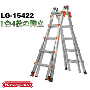 �r�� ���ڋr�� �L�k�r�� �͂���1��4�� ���J��H�ƃ��F���V�e�B LG-15422������s��