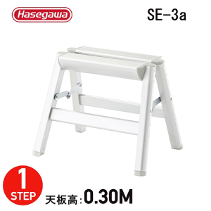 �r�� ������� ���ݑ�SE-3a �V���o�[������s��