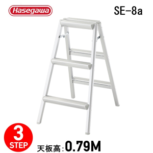 �r�� ������� ���ݑ�SE-8a �V���o�[������s��