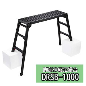 JH Hasegawa rLk BLACK LABEL DRSB-1000 Lv AEghA  ƁkCEEʓrϕs
