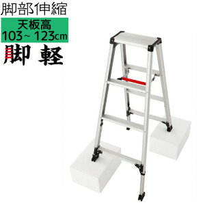 �������t�L�k �r�����J��H�� �r�y RZS-12a �A���~������s��