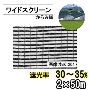 Ռlbg ChXN[ BK1205 Ռ30-35% 2m 50m ݐD  lzʓr Eʓr