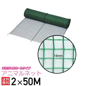 xz[^CvAj}lbg HGR-16 2×50m悯 hb{ChNX slʓr