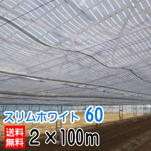 Ռlbg ՔM XzCg2×100m Ռ60f| ^CxbN{ChNX s