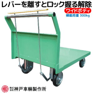 ύډ׏d300kgAt^[ S[J[AO Б ^Ԏh~  Ch{fBnhXgbp[t_ˎp HS139Cs