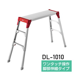 ����� �A���~ �r���L�kDL-1010 ������s��