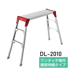 ����� �A���~ �r���L�kDL-2010 ������s��