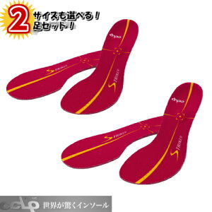 2足セット 世界特許取得 インソールCCPL カルパワースマート ストライカー レッドサッカー フットサル※代引不可※