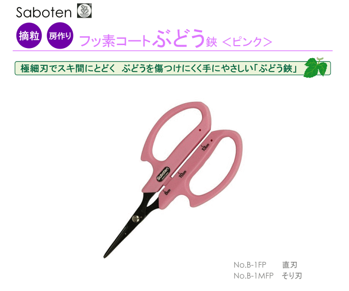 サボテン ビッグハンドル 採果鋏 先細フッ素 直 1280BF khxv5rg Amazon | サボテン アンビル型剪定鋏 ♯1257 | 園芸用はさみ
