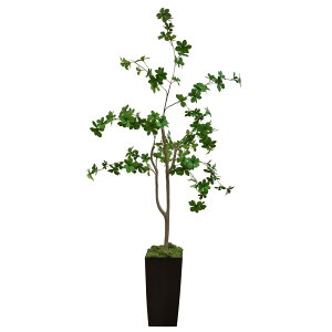 hE_ccW lHϗtA 150Z` tFCNO[ lHەt t G} DZ150N