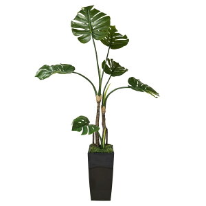 Xe lHϗtA 150Z` tFCNO[ lHەt t G} GBY150N